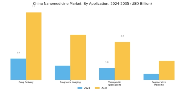 China Nanomedicine Market Segment Image 0