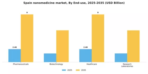 Spain Nanomedicine Market Segment Image 1