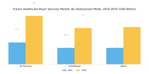 France Healthcare Payer Services Market Segment Image 2