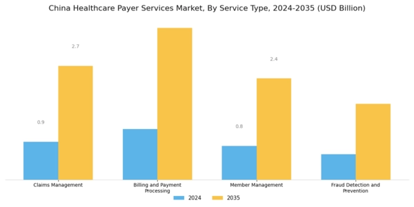 China Healthcare Payer Services Market Segment Image 0