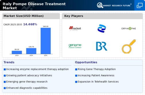 Italy Pompe Disease Treatment Market Infographic