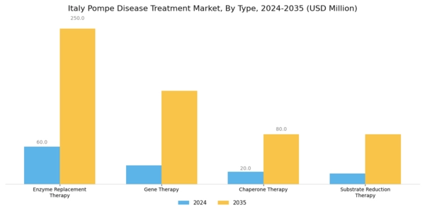 Italy Pompe Disease Treatment Market Segment Image 0
