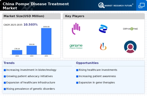 China Pompe Disease Treatment Market Infographic