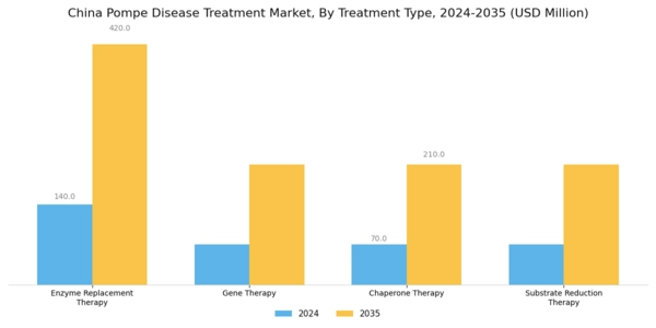 China Pompe Disease Treatment Market Segment Image 0
