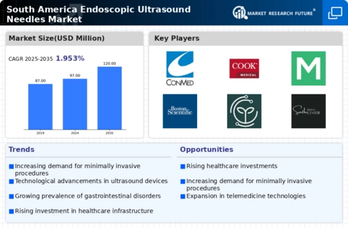 South America Endoscopic Ultrasound Needles Market Infographic
