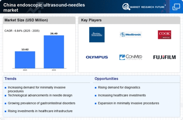 China Endoscopic Ultrasound Needles Market Infographic