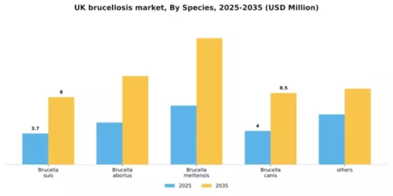 UK Brucellosis Market Segment Image 2
