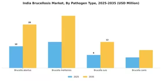 India Brucellosis Market Segment Image 3