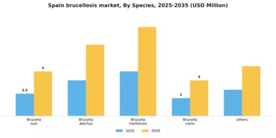 Spain Brucellosis Market Segment Image 2