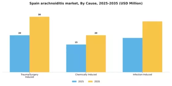 Spain Arachnoiditis Market Segment Image 0