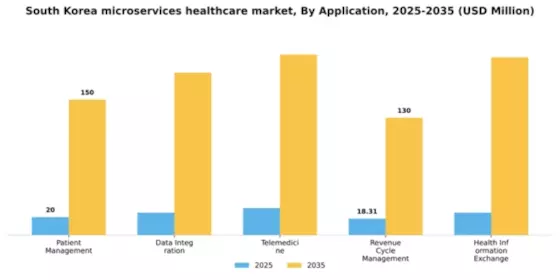 South Korea Microservices Healthcare Market Segment Image 0