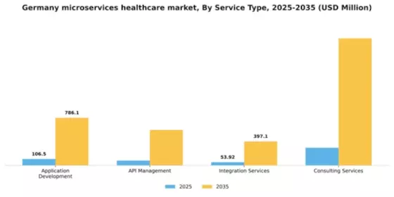 Germany Microservices Healthcare Market Segment Image 3