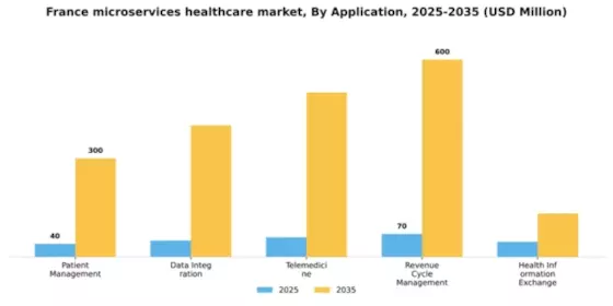 France Microservices Healthcare Market Segment Image 0