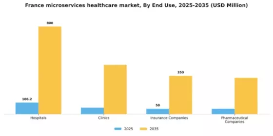 France Microservices Healthcare Market Segment Image 2