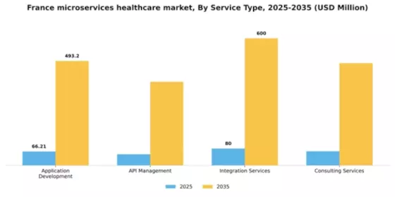 France Microservices Healthcare Market Segment Image 3
