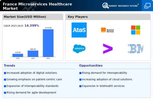 France Microservices Healthcare Market Infographic