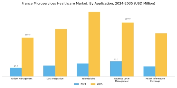 France Microservices Healthcare Market Segment Image 0