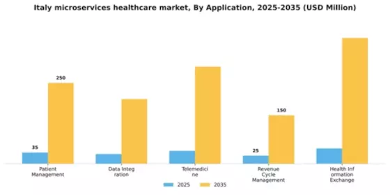 Italy Microservices Healthcare Market Segment Image 0