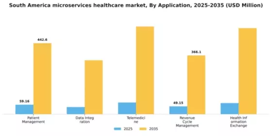 South America Microservices Healthcare Market Segment Image 0
