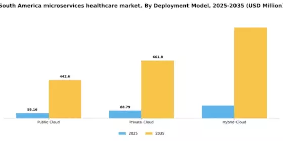 South America Microservices Healthcare Market Segment Image 1