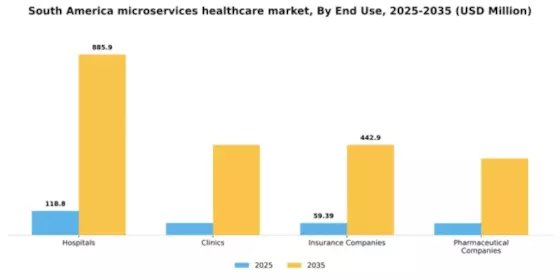 South America Microservices Healthcare Market Segment Image 2