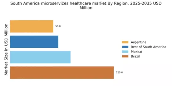 South America Microservices Healthcare Market Regional Image