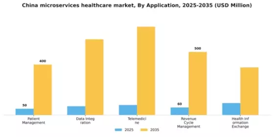 China Microservices Healthcare Market Segment Image 0
