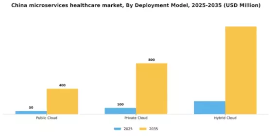 China Microservices Healthcare Market Segment Image 1