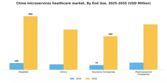 China Microservices Healthcare Market Segment Image 2