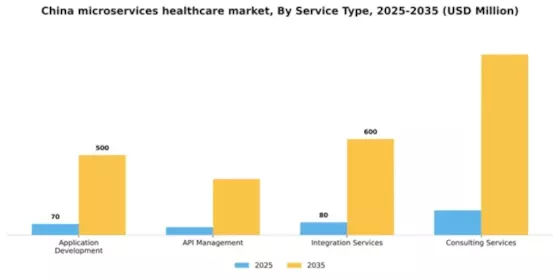 China Microservices Healthcare Market Segment Image 3