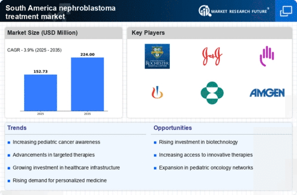 South America Nephroblastoma Treatment Market Infographic