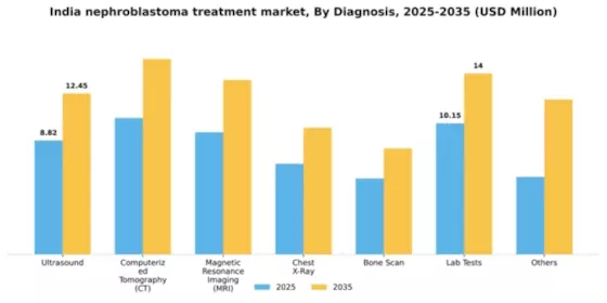 India Nephroblastoma Treatment Market Segment Image 0