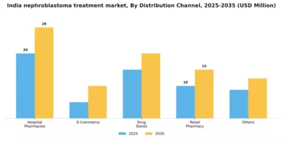 India Nephroblastoma Treatment Market Segment Image 1