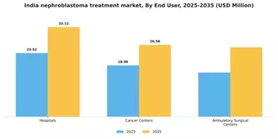 India Nephroblastoma Treatment Market Segment Image 3