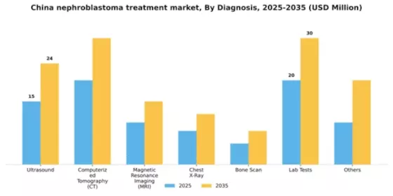 China Nephroblastoma Treatment Market Segment Image 0