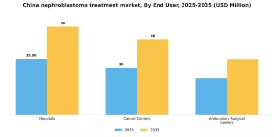 China Nephroblastoma Treatment Market Segment Image 3