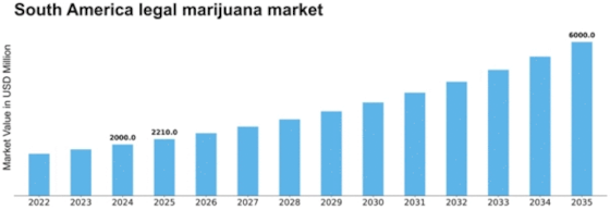 South America Legal Marijuana Market Size