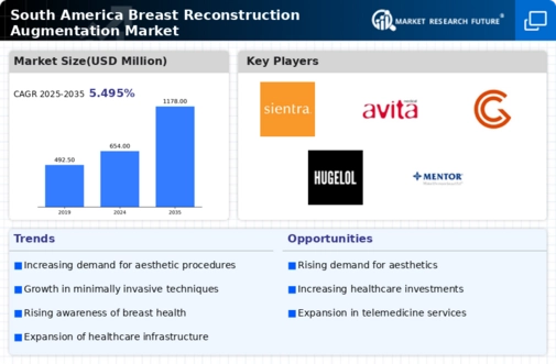 South America Breast Reconstruction Augmentation Market 
Research Report- Forecast To 2035 Infographic