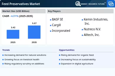 Feed Preservatives Market Infographic
