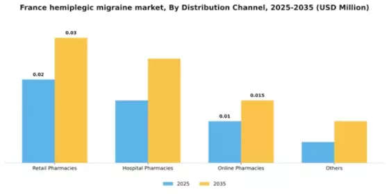 France Hemiplegic Migraine Market Segment Image 0