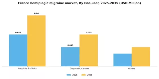 France Hemiplegic Migraine Market Segment Image 1