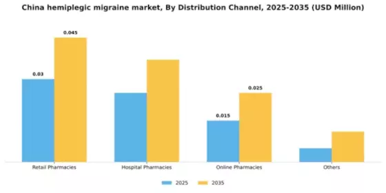 China Hemiplegic Migraine Market Segment Image 0