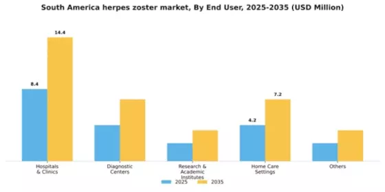 South America Herpes Zoster Market Segment Image 1