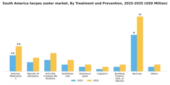 South America Herpes Zoster Market Segment Image 3