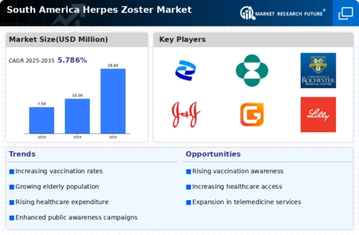 South America Herpes Zoster Market Infographic