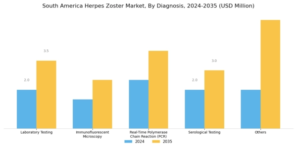 South America Herpes Zoster Market Segment Image 0