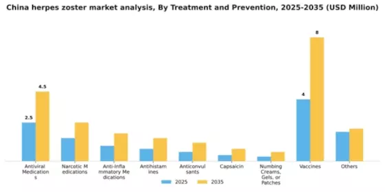 China Herpes Zoster Market Segment Image 3