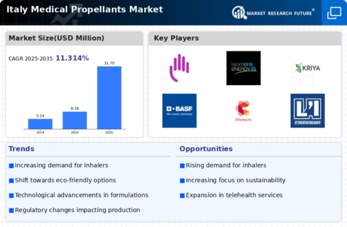 Italy Medical Propellants Market Infographic