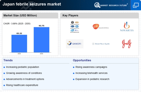 Japan Febrile Seizures Market Infographic
