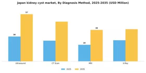 Japan Kidney Cyst Market Segment Image 0